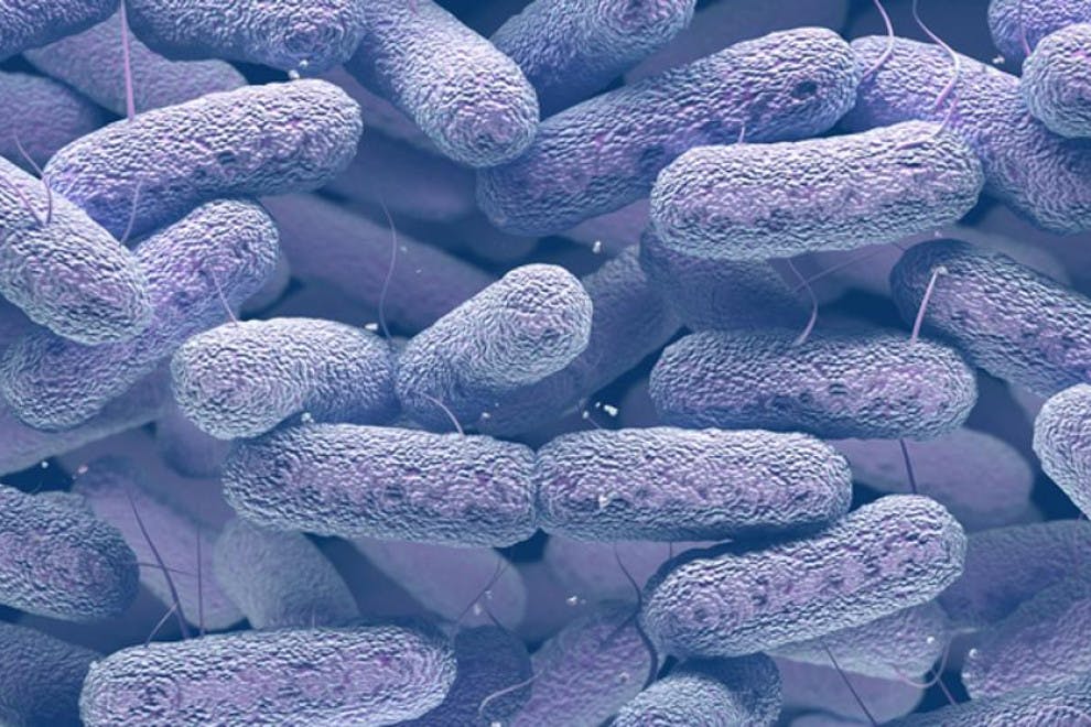 Bacterias resistentes a los antibióticos