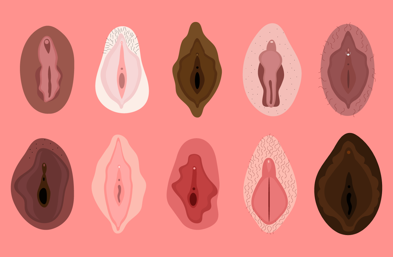 vulva-tipos