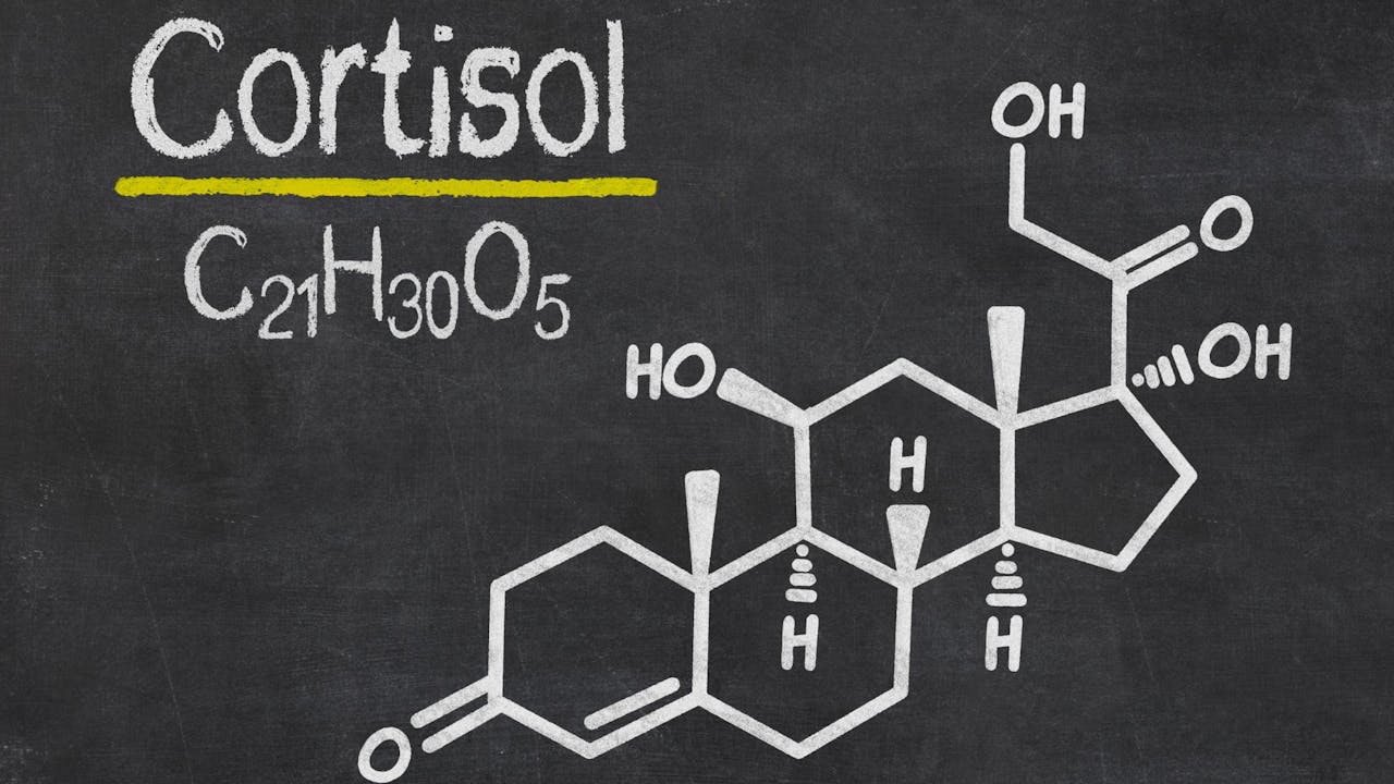 cortisol-relacion-con-estres