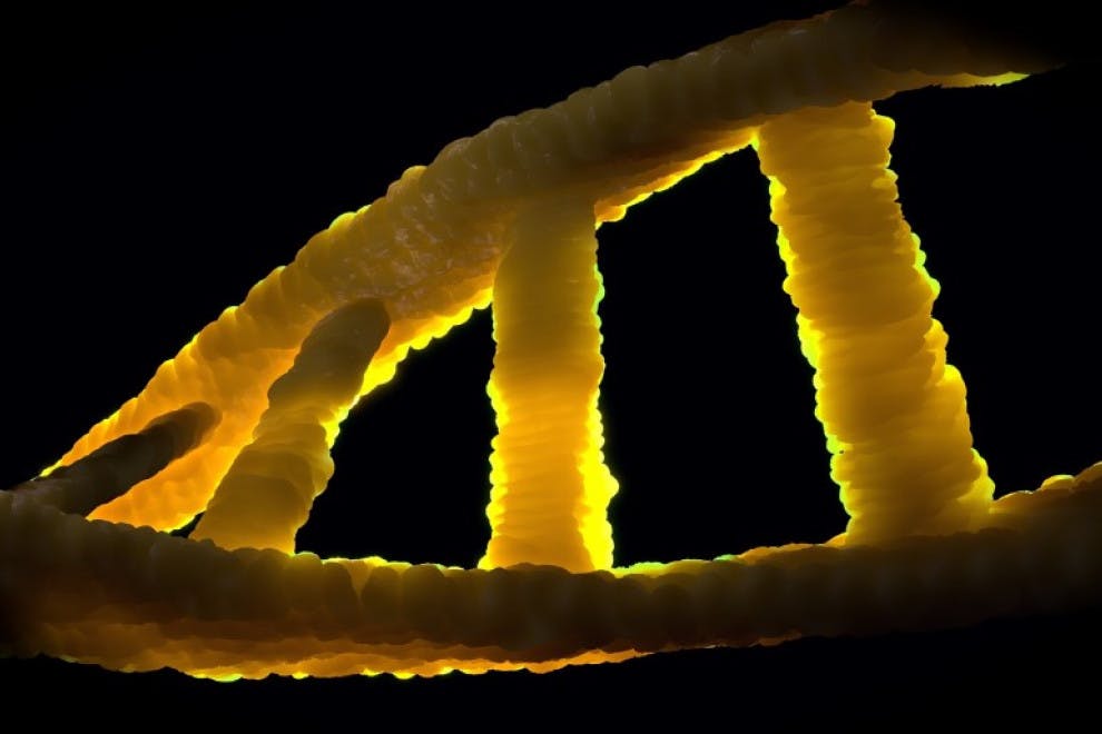 Diferencias ARN ADN